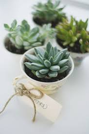 Add a riot of color to a display your teacup planter pots anywhere in the house, as long as they will receive. 12 Cute Diy Tea And Coffee Cup Planters Gardenoholic