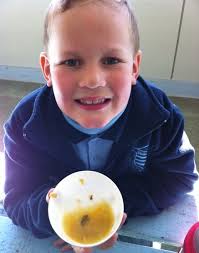 NEWSLETTER WEEK 3 TERM 3, 1st August 2012