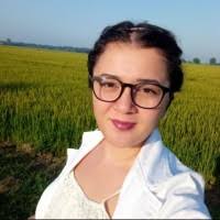 6 "Diana Băbuș" profiles