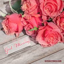 The perfect rose flower withlove animated gif for your conversation. Beautiful Roses For A Beautiful Morning Uvgreetings