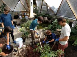 Check spelling or type a new query. The Above Ground Pond Included With Our Greenhouse