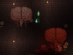 Terraria brain of cthulhu arena. Brain Of Cthulhu Terraria Wiki Fandom