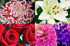 All same day bereavement flower delivery are created by a local florist partner near the address where they if you are sending flowers to a funeral home, it is important that the flowers arrive prior to the service so. The Meaning Behind 8 Different Types Of Popular Funeral Flowers Everplans