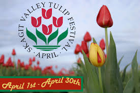 The crowds were relatively small and no problems driving to different locations. Skagit Valley Tulip Festival Home Facebook