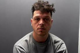 Raiders who blew up ATMs and stole £35,000 found hiding in hollow tree by  police helicopter