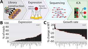 Cara main ica ica di line. Independent Component Analysis Of E Coli S Transcriptome Reveals The Cellular Processes That Respond To Heterologous Gene Expression Sciencedirect