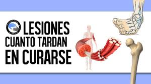 Cuanto Tiempo Tarda En Curarse Una Lesion Youtube