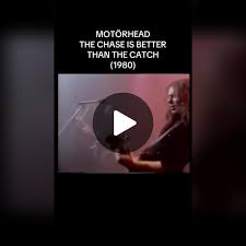 Image result for Moon White 1980 ABB Comeng