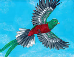 Resplendent Quetzal Taking Flight 1) draw a rectangle that will define the conditional proportions and boundaries of the chosen 2) from the middle of the rectangle, draw one vertical and one horizontal line equally dividing the shape. resplendent quetzal taking flight
