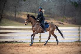 Thoroughbred Logic, Presented by Kentucky Performance Products: How To Get  (& Keep) Them Straight