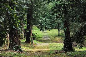 Jardin Botanique De Bali Guide Indonesie Azimuth Adventure Travel