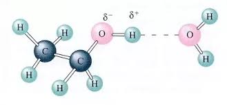 Maybe you would like to learn more about one of these? Do Polar Molecules Dissolve In Water Why Or Why Not Quora