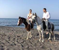Horse Stables Near Me In 2021 Santorini Tours Horses Horseback Riding