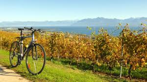 Cycle Around Lake Geneva In Switzerland And France