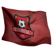 Fc hermannstadt rtg fifa 20 mar 20, 2020. Produse Fc Hermannstadt