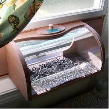 Bird Sitting On Window Sill Meaning Bird Feeder That Brings The Bird Inside Bird Feeders