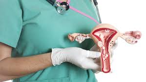 There are hpv tests that can be used to screen for cervical cancer. Most Cervical Cancer Risk Factors Are Poverty Related Dailynews