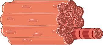 Muscle Fiber Servier Medical Art