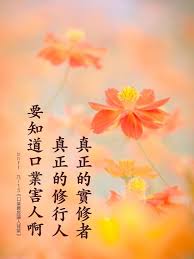 不要天天拿着念佛经的书 说着拜佛的话 但是犯下很多口业 让自己的佛心佛德有漏守戒行善是道德 摘录卢