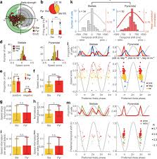 Maybe you would like to learn more about one of these? Cell Type Sub Region And Layer Specific Speed Representation In The Hippocampal Entorhinal Circuit Scientific Reports