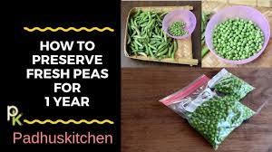 Fresh peas retain nearly all of their flavor when vacuum sealed and frozen properly, so you'll be able to enjoy your harvest well into. How To Preserve Peas How To Blanch And Freeze Fresh Peas Youtube