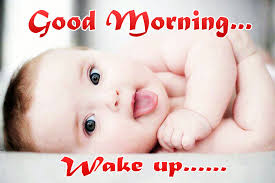 Maybe you would like to learn more about one of these? Funny Good Morning Pictures To Make You Smile