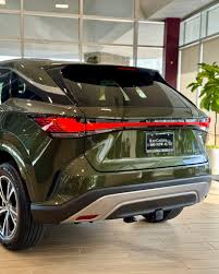 Image result for Nori Green 2020 UX