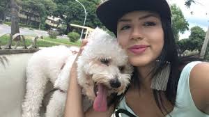Gratuitas para uso comercial não precisam de atribuição sem direitos autorais. Mudanca Na Tonalidade Dos Pelos Do Animal Pode Indicar Algum Problema Pernambuco Cao Pernambuco Com O Melhor Conteudo Sobre Pernambuco Na Internet