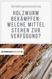 Holzwurm Bekampfen Welche Mittel Stehen Zur Verfugung Holzwurm Holzwurmer Bekampfen Holz