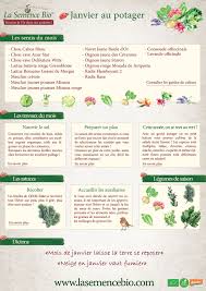 Epingle Sur Hiver Au Potager