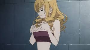 The harem anime genre is one of the most popular anime genres, especially among. Acquired Tastes In Anime Leap250 S Blog