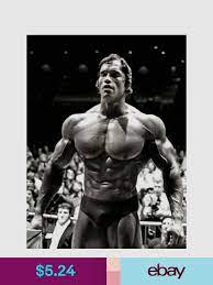 Posters Art Arnold Schwarzenegger Bodybuilding Schwarzenegger Bodybuilding Bodybuilding Pictures