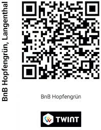 Twint is the app of swiss banks for payments and much more. Bnb Twint