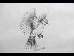 How To Draw A Beautiful Love Bird Step By Step Pencil Sketch Youtube Love Birds Drawing Cool Drawings Drawings