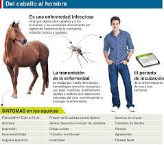 Es una entidad zoonótica de origen viral, transmitida a los humanos por picadura de mosquitos infectados. Precauciones Contra La Encefalitis Equina Del Este Blog De Farmacia