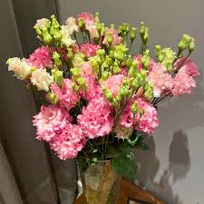 Image result for eustoma lisianthus in vase