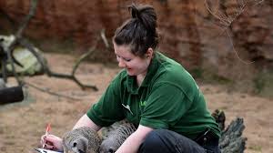 Comment s'entrainer à passer un entretien ? Travailler Dans Un Zoo Comme Soigneur Animalier Interview