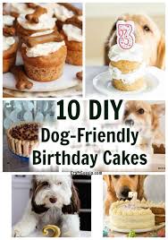The top 12 recipes instagram went wild for in june 10 Diy Safe Dog Friendly Birthday Cakes Edible Crafts