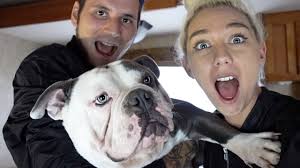 HURRICANE IRMA Day:4 You WONT BELIEVE WHAT BREED FRANKLIN IS (DNA TEST)