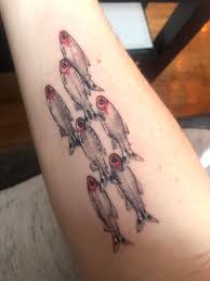72 hours minimum notice is required to reschedule. School Of Rummynose Tetras By Dan Marmo At Gristle Tattoo Brooklyn Ny Tattoos