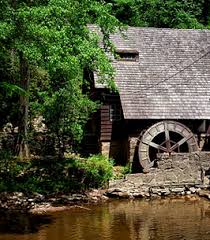 Eli Dodson Obituary and Online Memorial (2025)