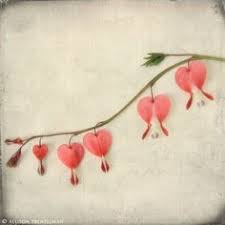 Tattoos Heart Flower Tattoo Bleeding Heart Flower Bleeding Heart Tattoo