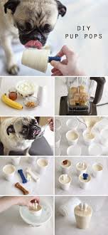 Commercial products would typically take care of this, but if you are giving any homemade food, avoid giving below food to. Help Your Pets Keep Cool This Summer With A Tasty Pup Pop Diy Dog Stuff Dog Food Recipes Dog Recipes