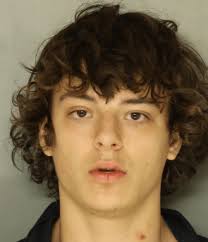 Man, 19, gets life for murders of disabled brothers