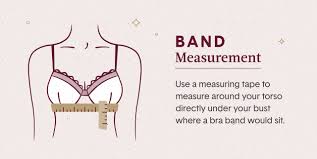 Next, measure loosely around the fullest part of your bust. Bra Size Chart How To Measure Bra Size Tommy John Help Center