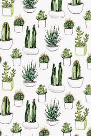 Cactus Draw More Tumblr Wallpaper Tumblr Backgrounds Iphone Background Tons of awesome cute cactus wallpapers to download for free. pinterest