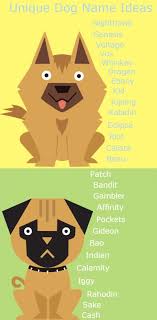 Unique Dog Names Dog Names Dog Names Unique Dogs Names List