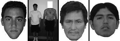 Human adaptations for the visual assessment of strength and fighting  ability from the body and face