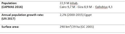 Greater Cairo And How The Transport System Is Coping With