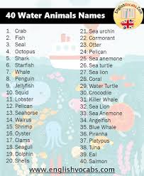 40 Water Animals Name List English Vocabs